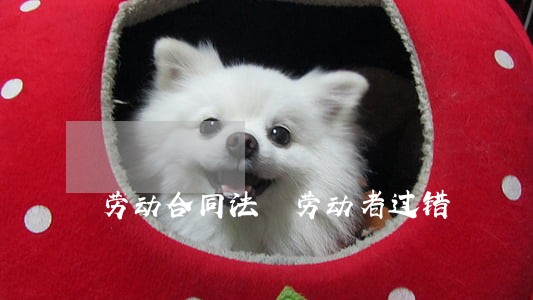 劳动合同法 劳动者过错 劳动合同法 劳动者过错